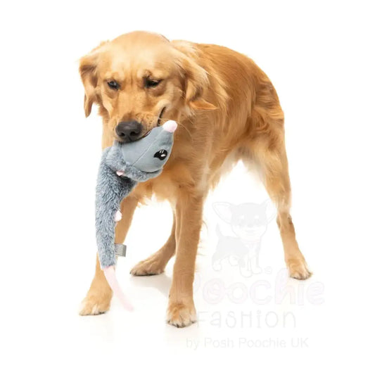 Rack off Rat - the Yeetz - Dog Toy by Fuzzyard - Fuzzyard - 2