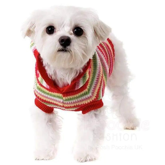 Rainbow Striped Dog Jumper with Hood Large - Sale - 2