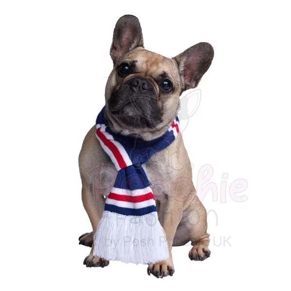 Rangers Football Team Dog Scarf - Urban - 2