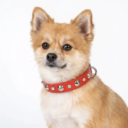 Red Biothane Slim Stud & Crystal Dog Collar - Poochie Fashion - 2