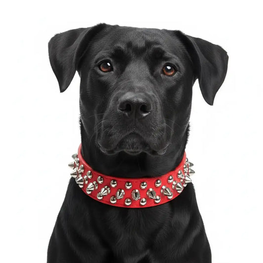 Red Metro Spike Vegan Leather Dog Collar - Posh Pawz - 2
