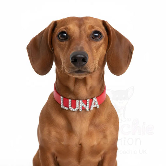 Red Waterproof Personalised Dog Collar with Large Diamante Letters - Poochie Fashion - 2