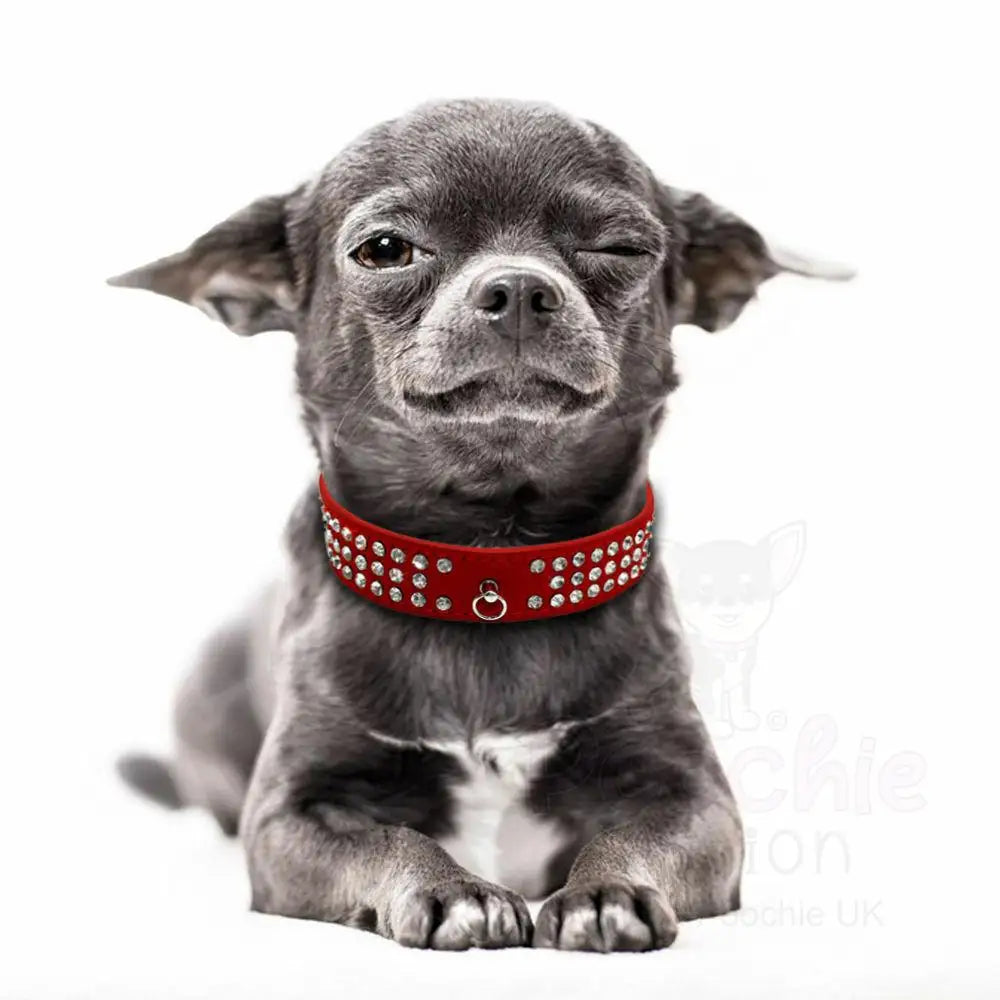 Red Triple Rhinestone Eco-suede Dog Collar - Posh Pawz - 3