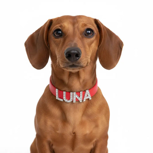Red Waterproof Personalised Dog Collar with Large Diamante Letters - Poochie Fashion - 2