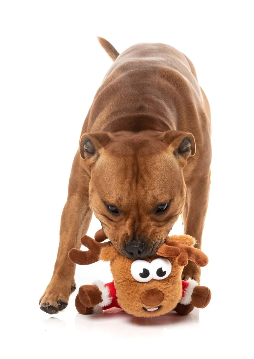 Reggie Claus Reindeer Christmas Dog Toy By FuzzYard