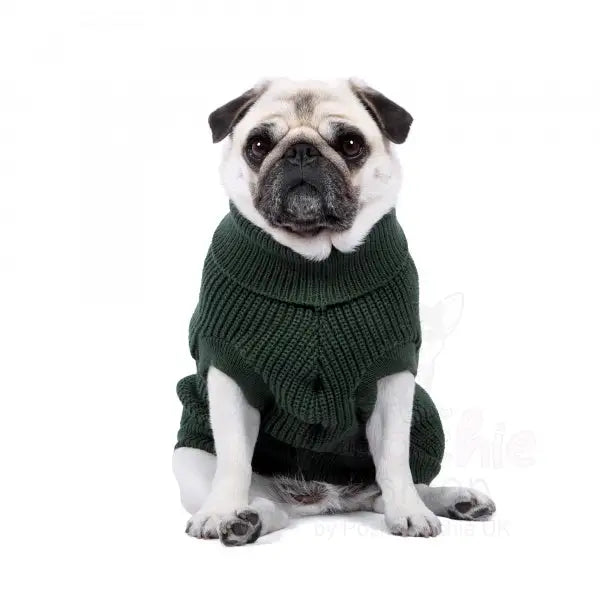 Ribbed Turtle Neck Supersoft Dog Jumper in Forest Green Rich Paw 2