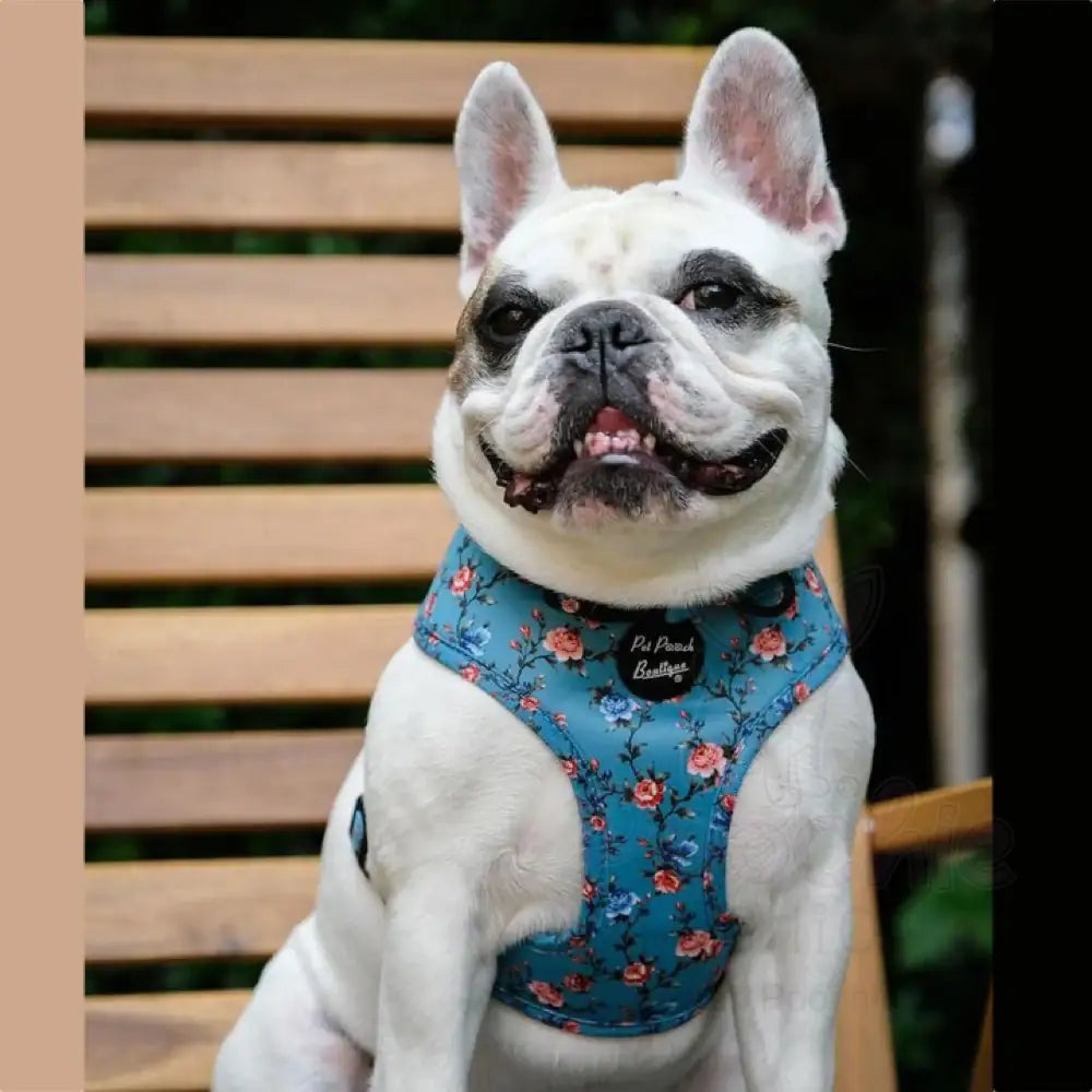 Rosie Rose Floral Dog Harness - Pet Pooch - 5