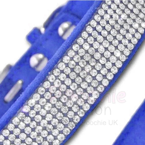 Royal Blue Crystal Eco-suede Dog Collar - Posh Pawz - 3