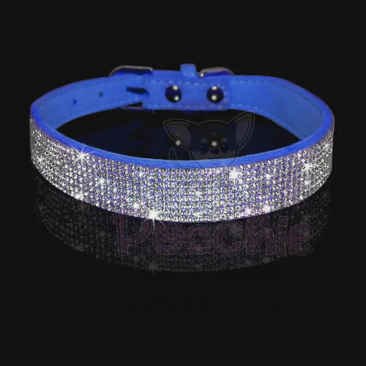 Royal Blue Crystal Eco-suede Dog Collar - Posh Pawz - 2