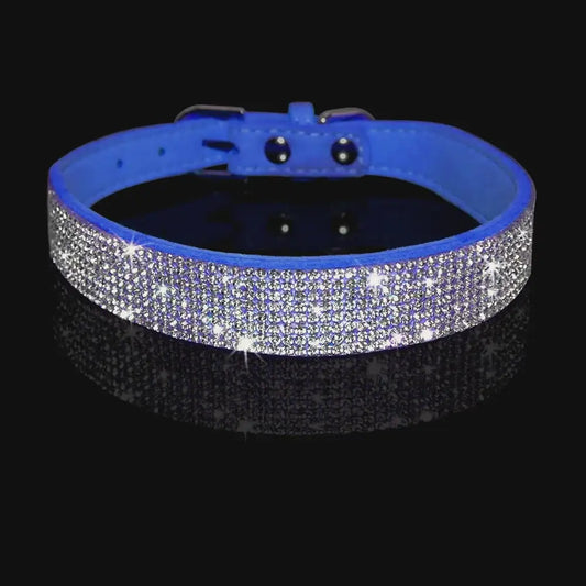 Royal Blue Crystal Eco-suede Dog Collar - Posh Pawz - 2