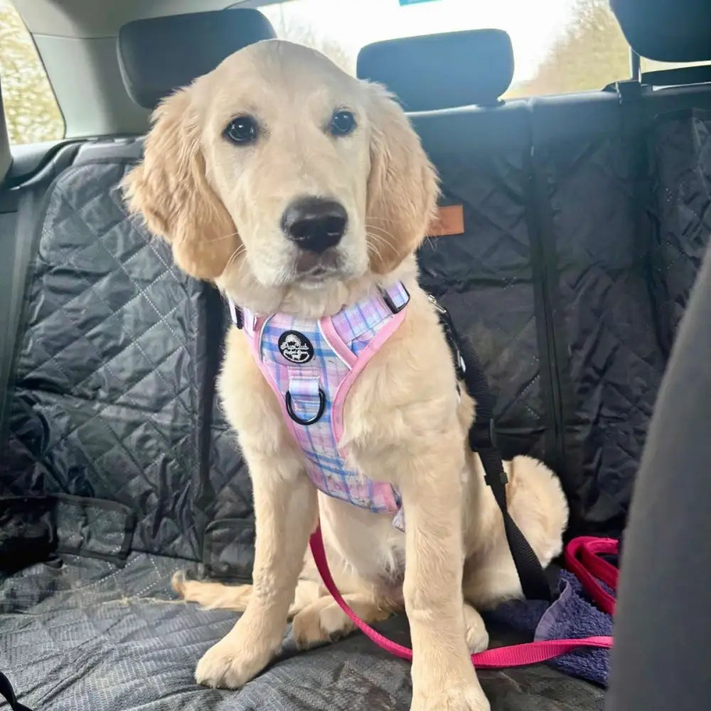 Rugged Rover™ Dog Harness - Pink Tartan - Pupclub Couture - 5