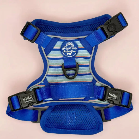 Rugged Rover™ Dog Harness - Sea Breeze Stripes - Pupclub Couture - 2
