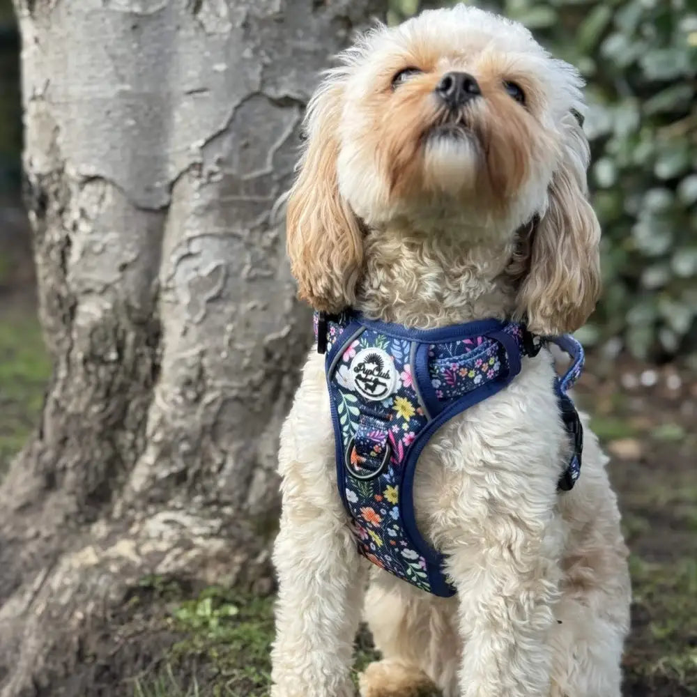 Rugged Rover™ Dog Harness - Summer Meadow - Pupclub Couture - 15