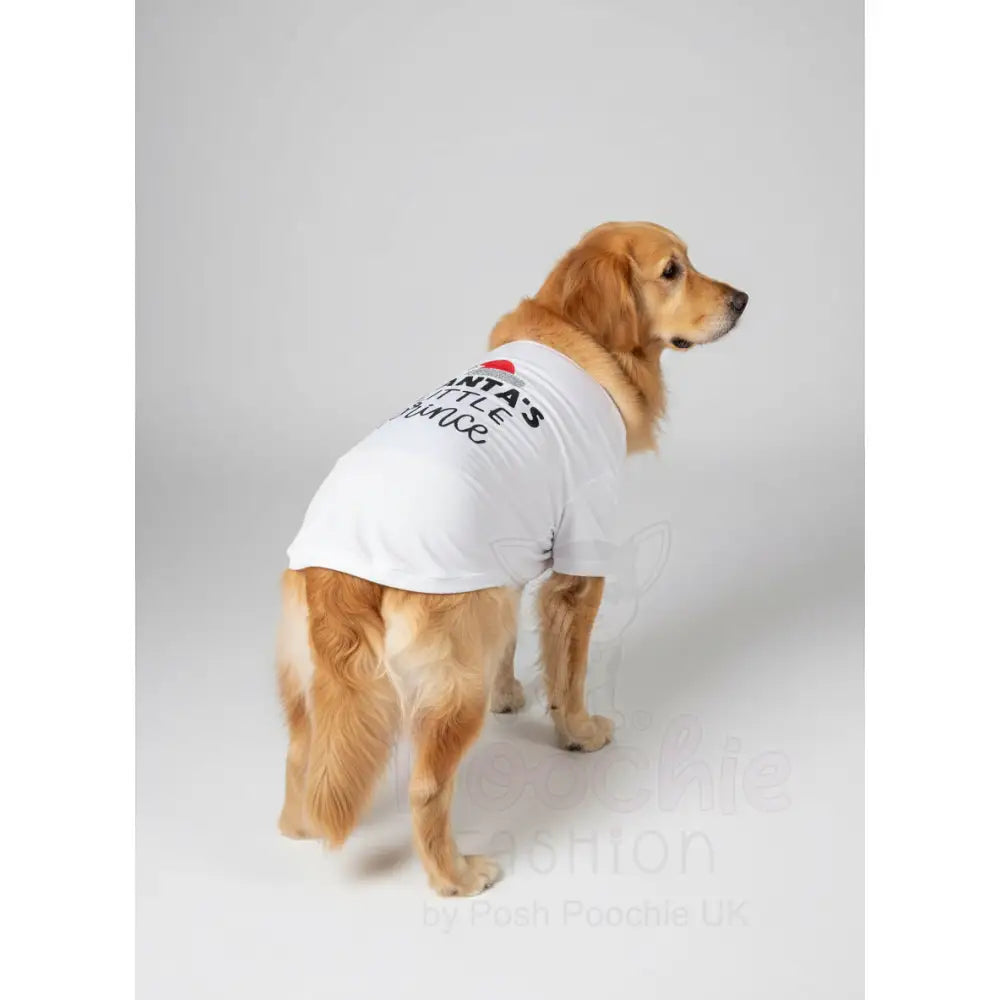 Santas Little Prince Christmas Dog T-shirt - Rich Paw - 4
