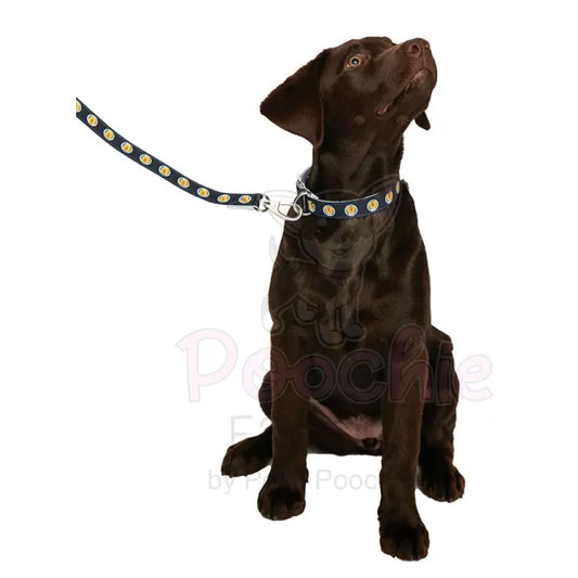 Scotland Football Team Dog Collar & Lead Set Sale 2