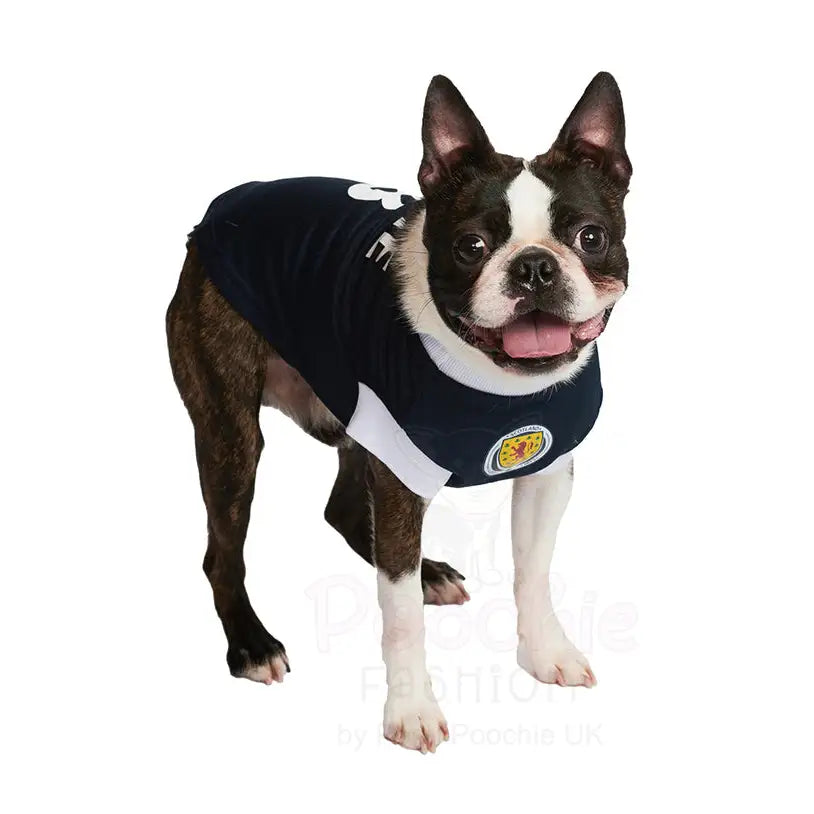 Scotland Football Team Dog T-shirt - Sale - 6