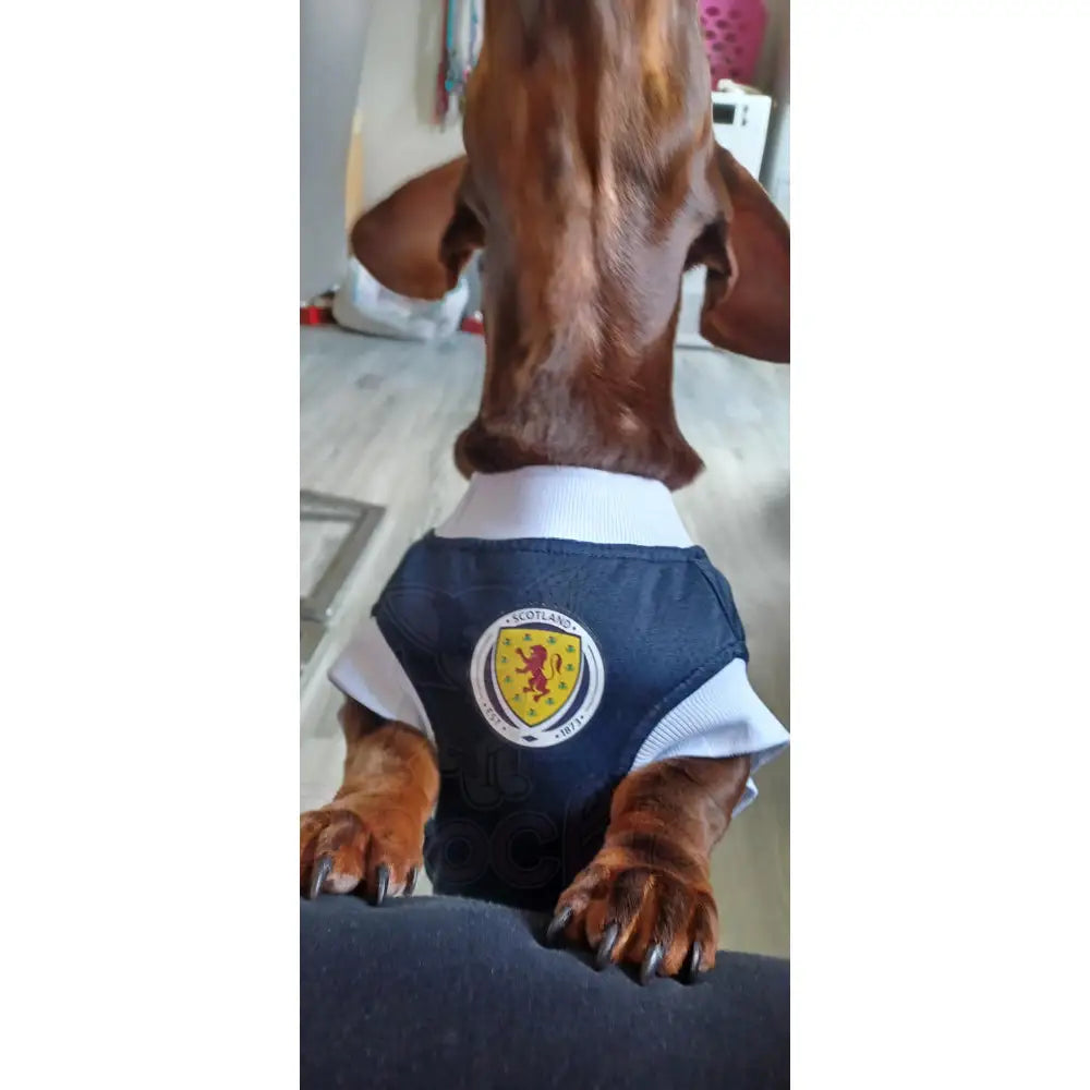 Scotland Football Team Personalised Dog T-shirt - Sale - 9