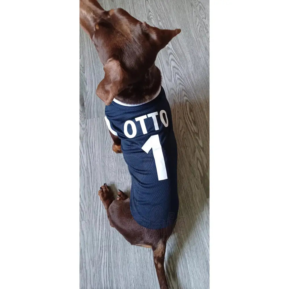Scotland Football Team Personalised Dog T-shirt - Sale - 10