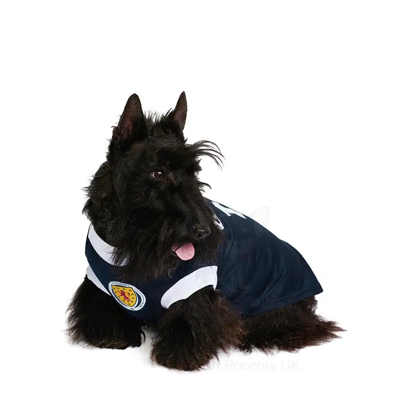 Scotland Football Team Personalised Dog T-shirt - Sale - 5
