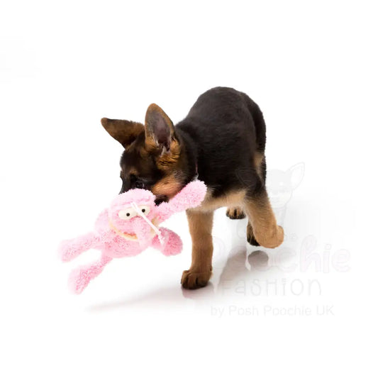 Scratchette the Pink Flea Plush Dog Toy by Fuzzyard - Fuzzyard - 2