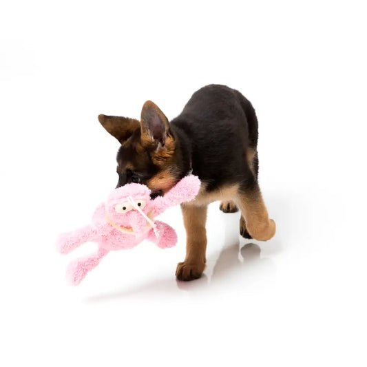 Scratchette the Pink Flea Plush Dog Toy by Fuzzyard - Fuzzyard - 2