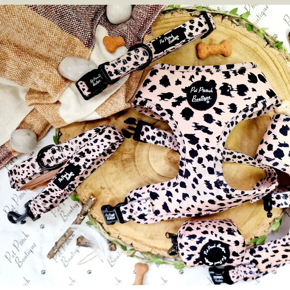 Scruffy Dots Dog Harness - Pet Pooch - 4
