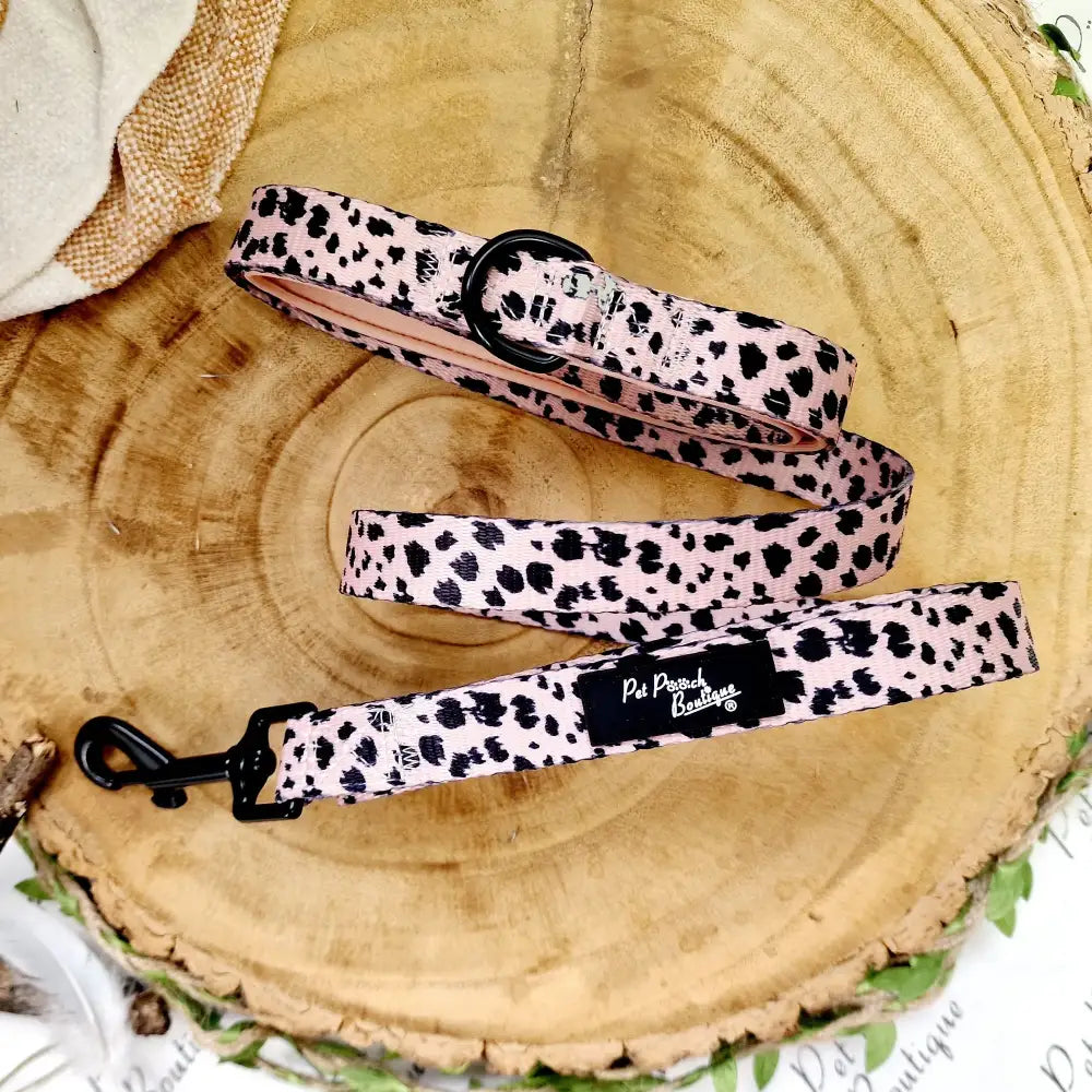 Scruffy Dots Dog Lead - Pet Pooch - 1