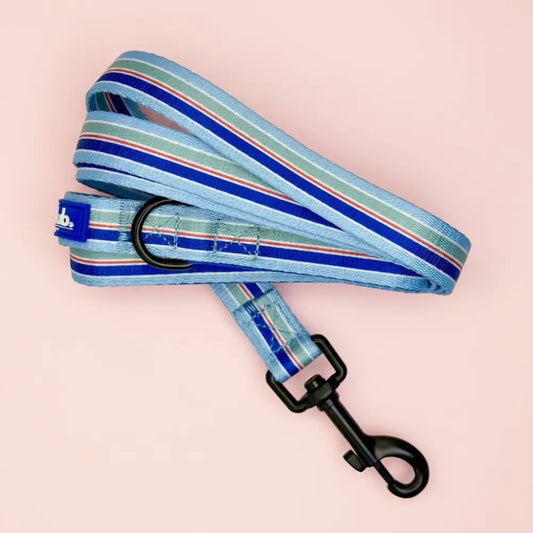 Sea Breeze Stripes Dog Lead - Pupclub Couture - 2
