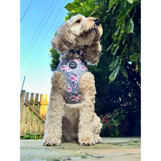 Secret Garden Floral Dog Harness - Pet Pooch - 2