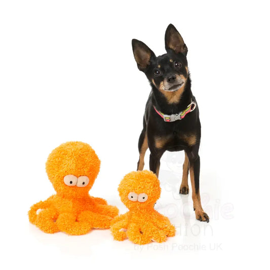 Sir Legs-a-lot Octopus Plush Dog Toy by Fuzzyard - Fuzzyard - 2