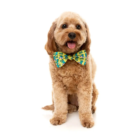Sk8ter Gator Bow Tie by Fuzzyard - Fuzzyard - 2