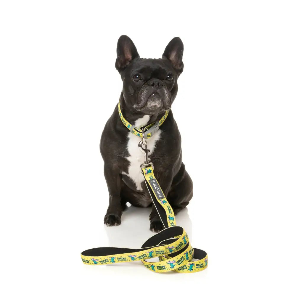 Sk8ter Gator Dog Collar by Fuzzyard - Fuzzyard - 3