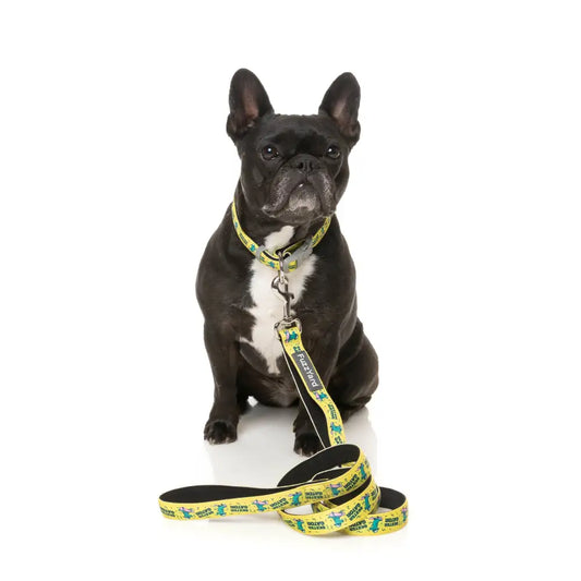 Sk8ter Gator Dog Lead by Fuzzyard - Fuzzyard - 2