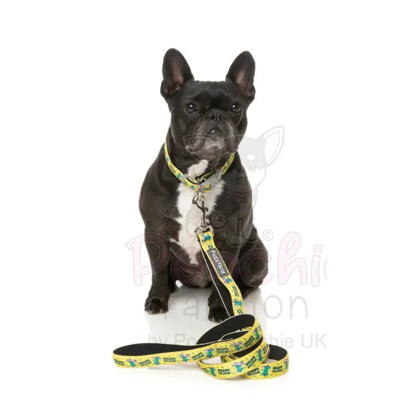 Sk8ter Gator Dog Collar by Fuzzyard - Fuzzyard - 3