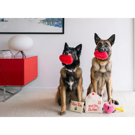 Smoochy Poochy Valentines Dog Toy by P.l.a.y - P.l.a.y - 2
