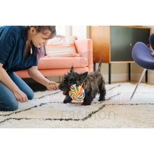 Snack Attack Lollipup Dog Toy by P.l.a.y P.l.a.y 2