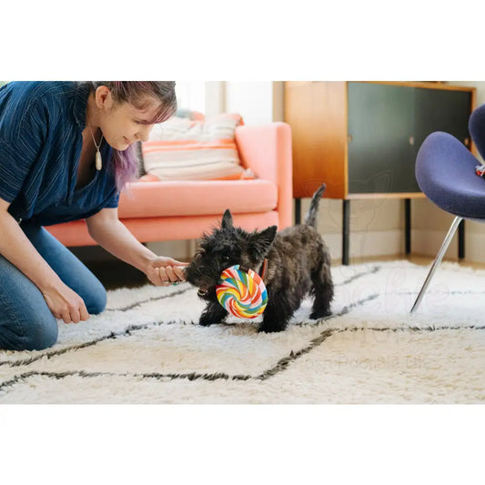 Snack Attack Lollipup Dog Toy by P.l.a.y - P.l.a.y - 2