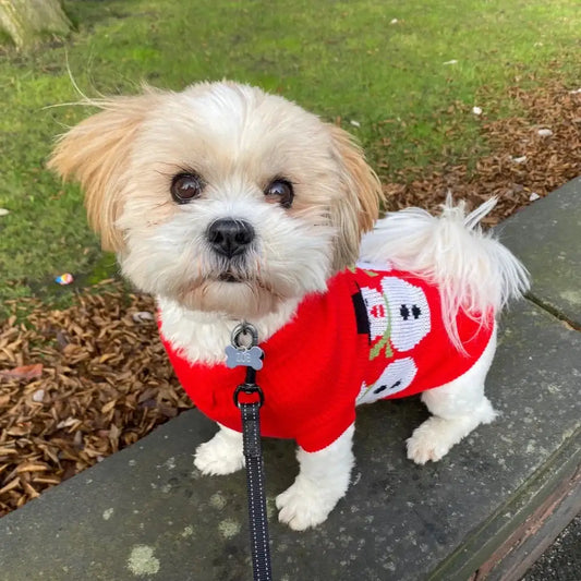 Snowman Dog Jumper Small - Sale - 2