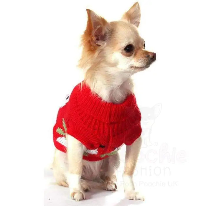 Snowman Dog Jumper Small - Sale - 4