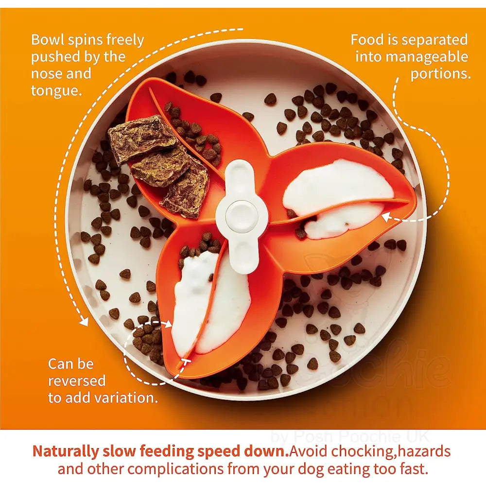 Spin Flower Interactive Pet Slow Feeder in Orange - Level Easy - Petdreamhouse - 2