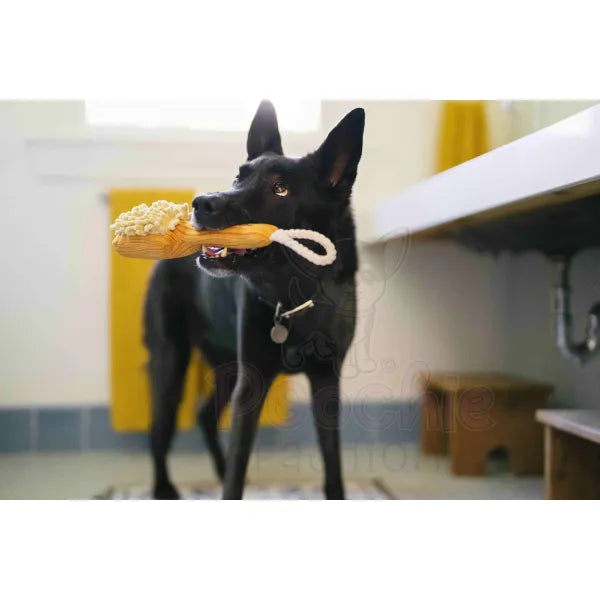 Splish Splash Bark N’ Bristles Dog Toy by P.l.a.y - P.l.a.y - 3