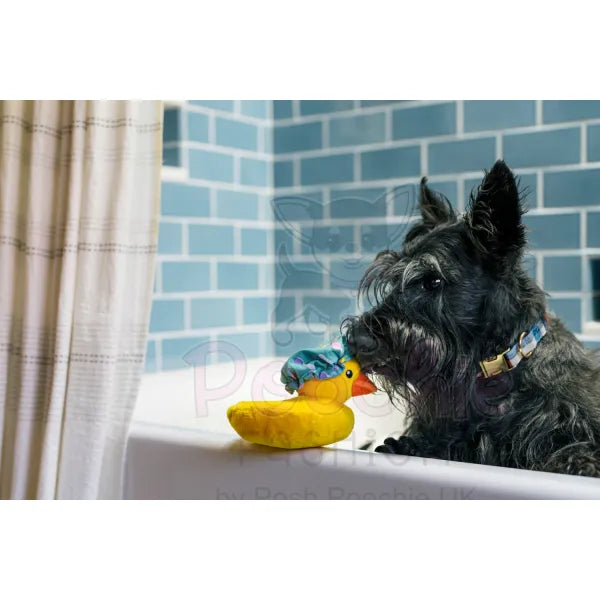 Splish Splash Bubbles the Duck Dog Toy by P.l.a.y P.l.a.y 3