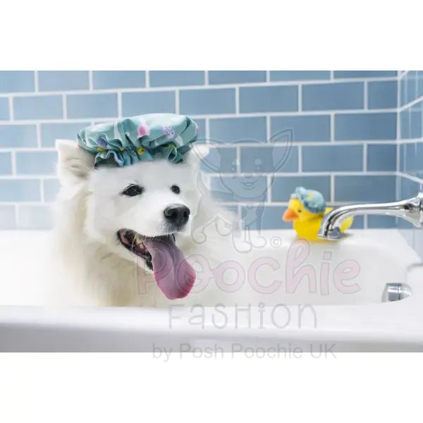 Splish Splash Shower Quack Dog Toy by P.l.a.y P.l.a.y 2