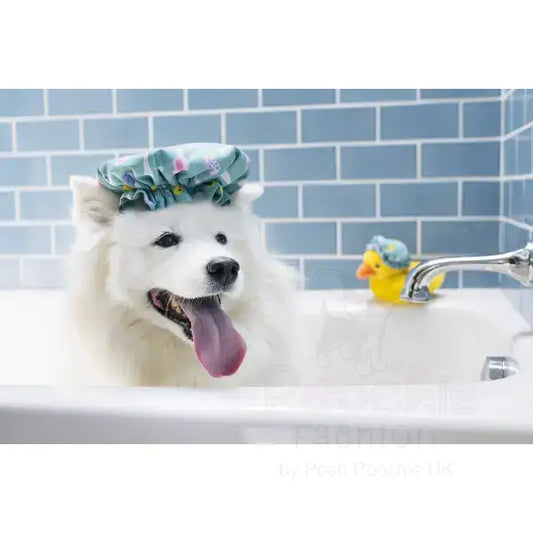 Splish Splash Shower Quack Dog Toy by P.l.a.y - P.l.a.y - 2