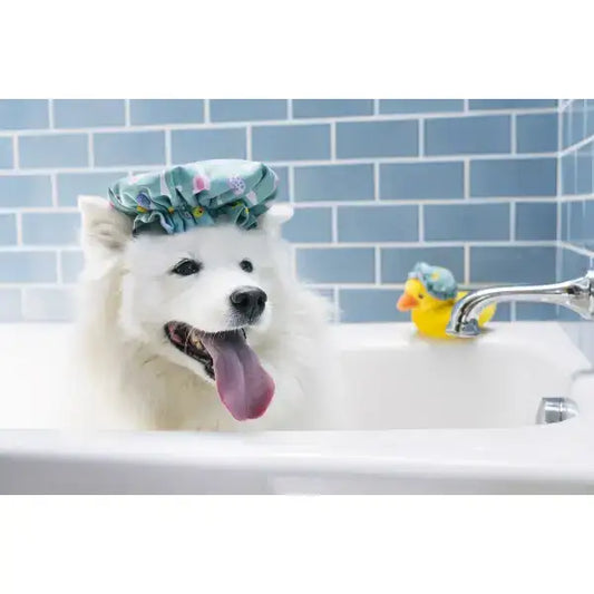 Splish Splash Shower Quack Dog Toy by P.l.a.y - P.l.a.y - 2