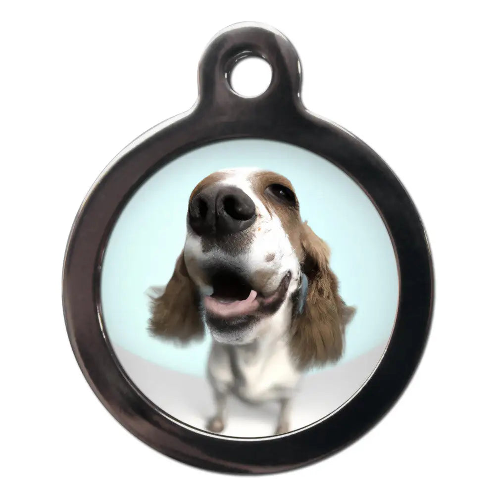 Springer Spaniel Fish Eye Lens Dog Id Tag - Ps Pet Tags - 1