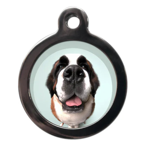 St Bernard Fish Eye Lens Dog Id Tag Ps Pet Tags 1