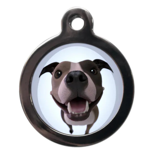 Staffy Fish Eye Lens Dog Id Tag Ps Pet Tags 1