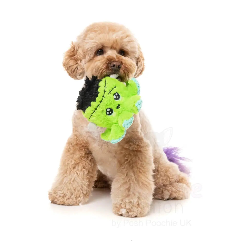Stumpy Franken-pus Dog Toy by Fuzzyard - Fuzzyard - 3