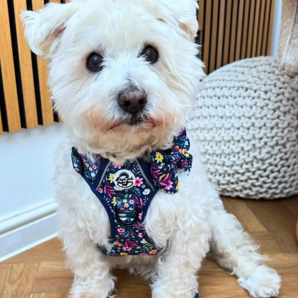 Summer Meadow Dog Sailor Bow - Pupclub Couture - 4